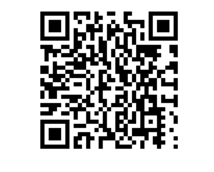 Bit QR Code